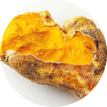 Tumeric Root